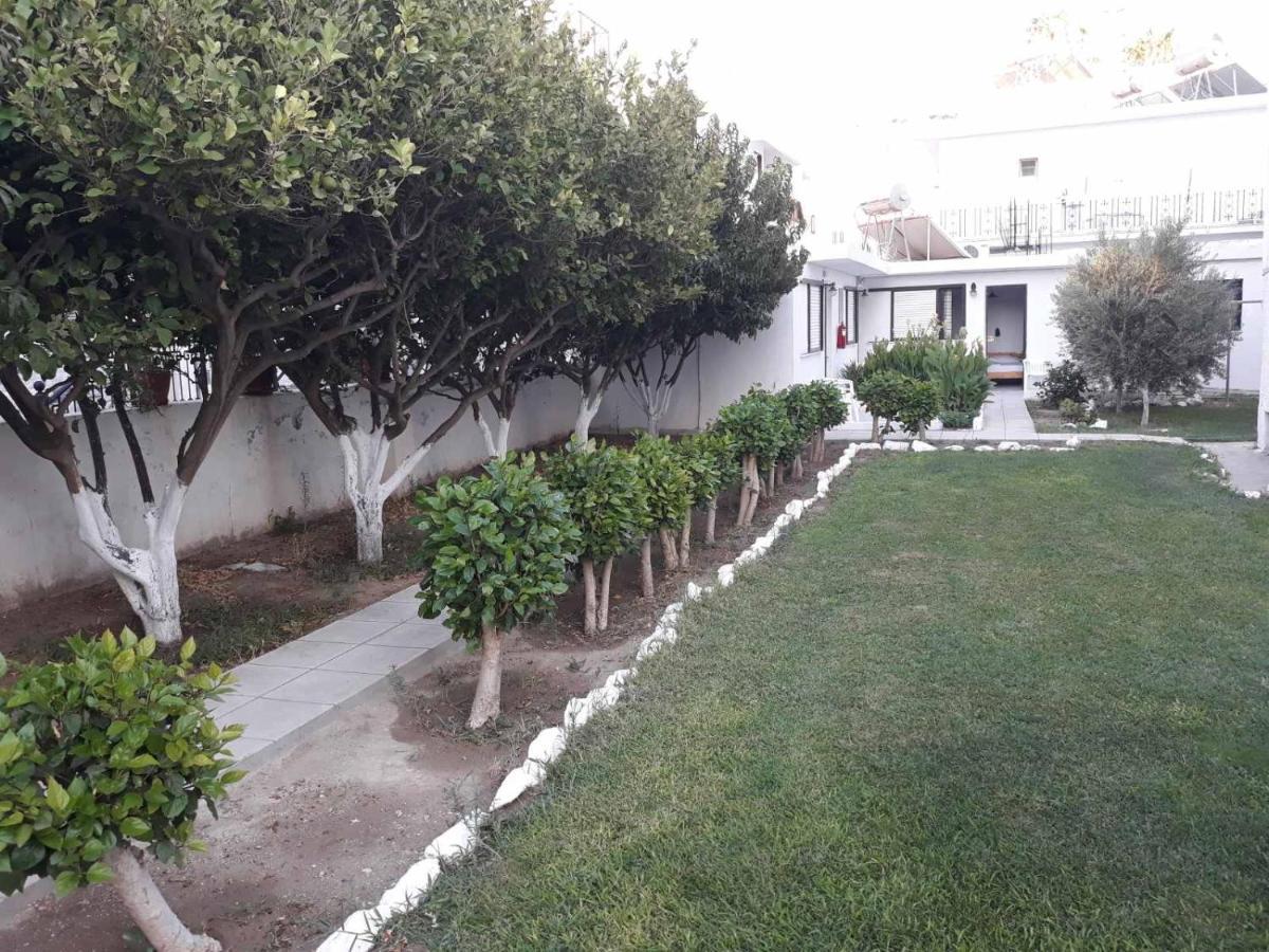 Andavis Hotel (Adults Only) Kardamena  Extérieur photo